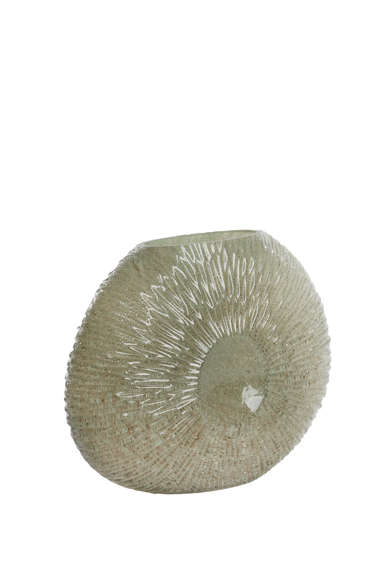 Artisan Grey-Green Shell Vase - 40.5x11x30.5 cm