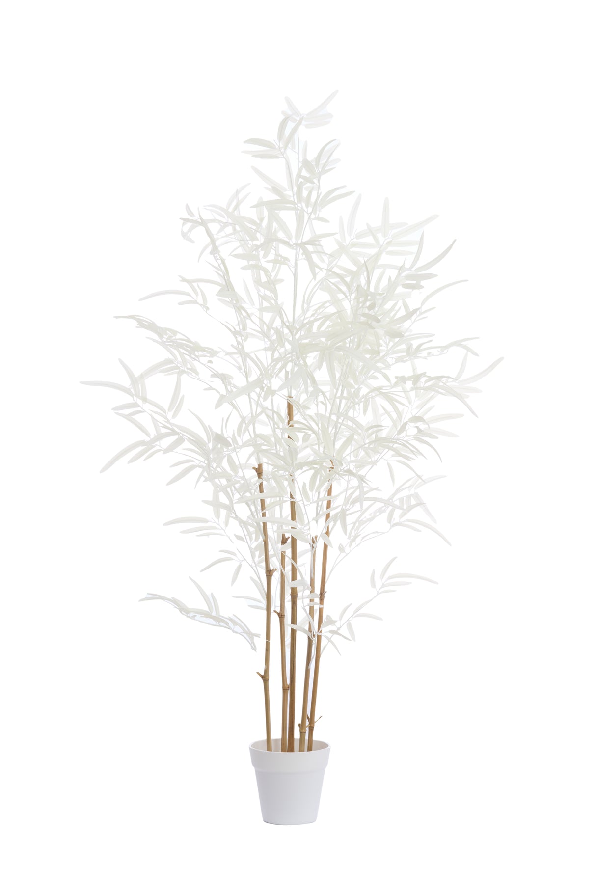 Elegant Bamboo & Cream Potted Ornament - 70x60x120 cm