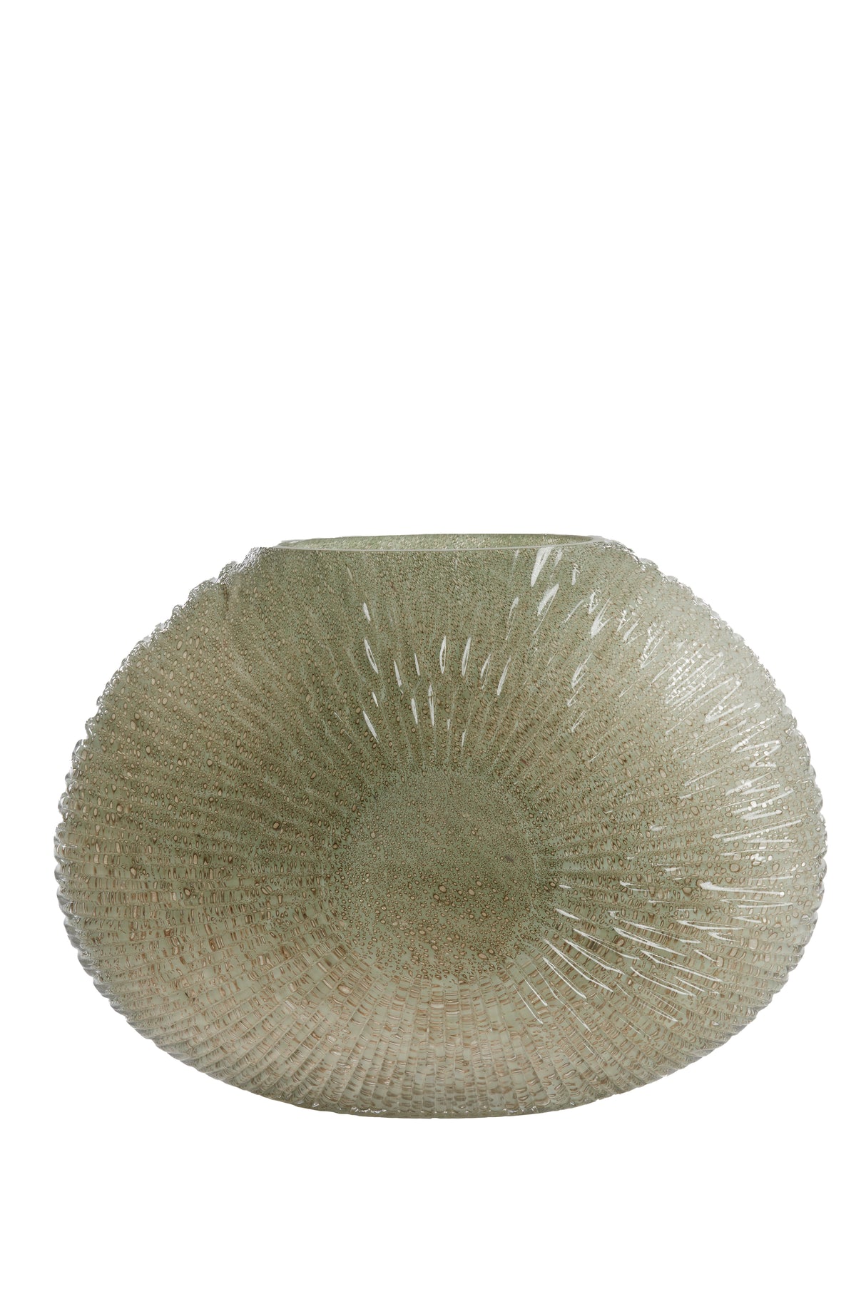 Artisan Grey-Green Shell Vase - 40.5x11x30.5 cm