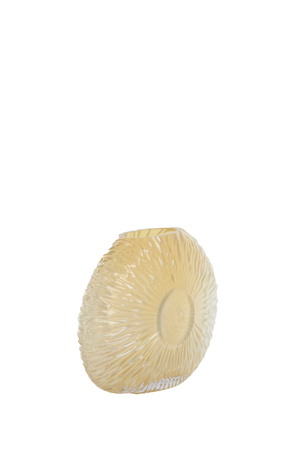 Sunlit Seashell Vase - 32.5x10x24 cm in Soft Yellow