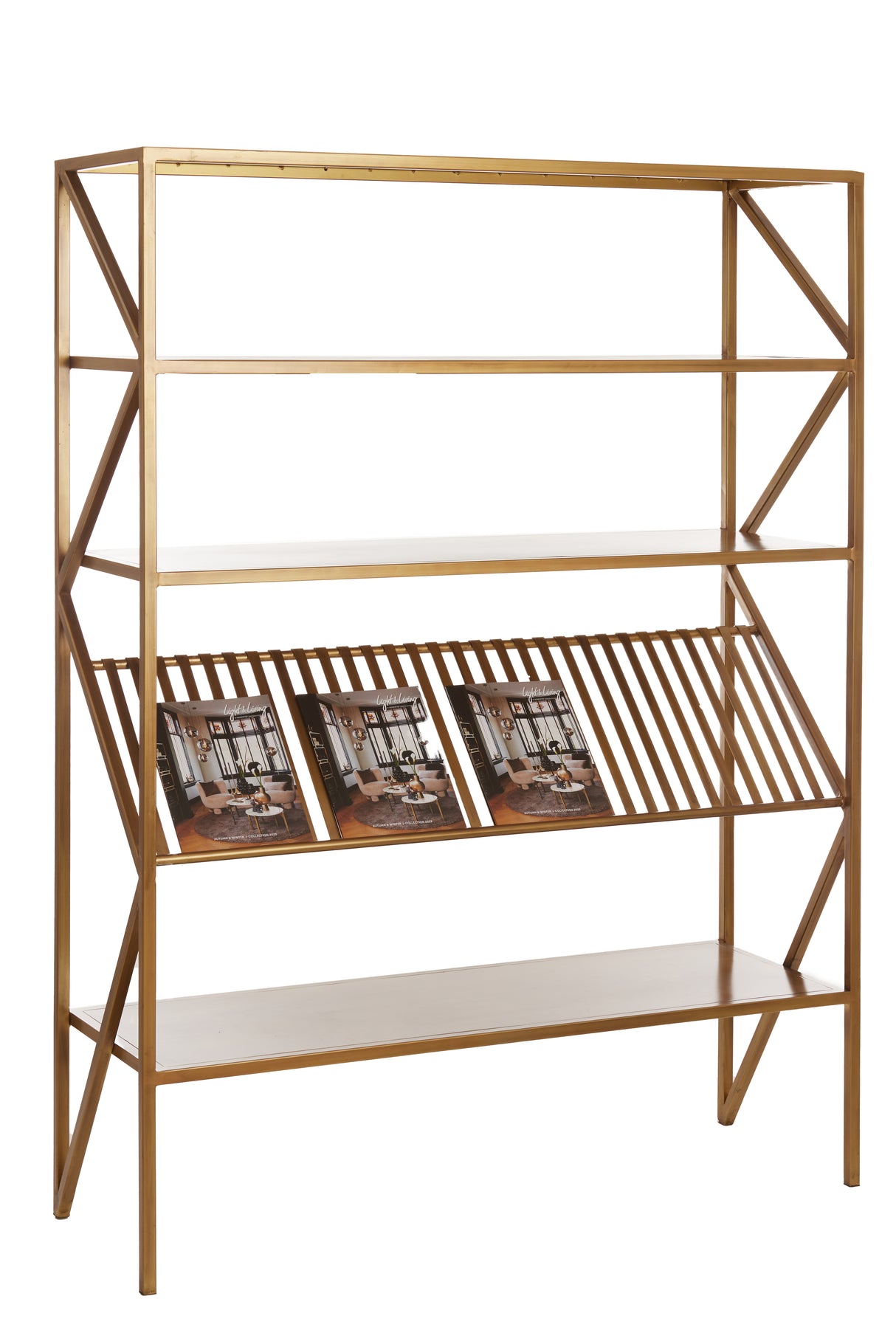 Antique Bronze Ezra Display Cabinet 120x40x160 cm