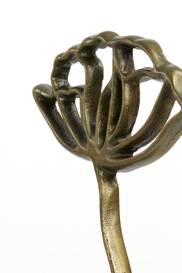 Bronze Papaveru Sculpture on Base, 22x6x36 cm