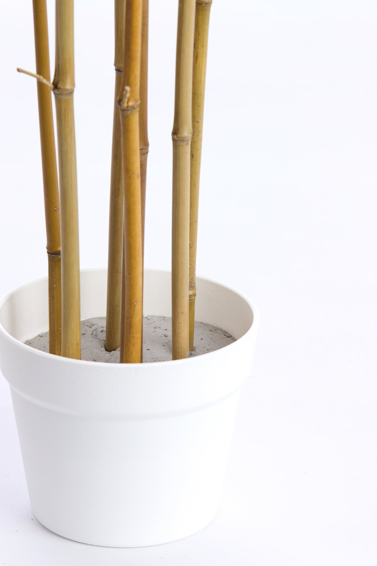 Nature's Elegance: Bamboo Ornament in Cream 70x60x90 cm