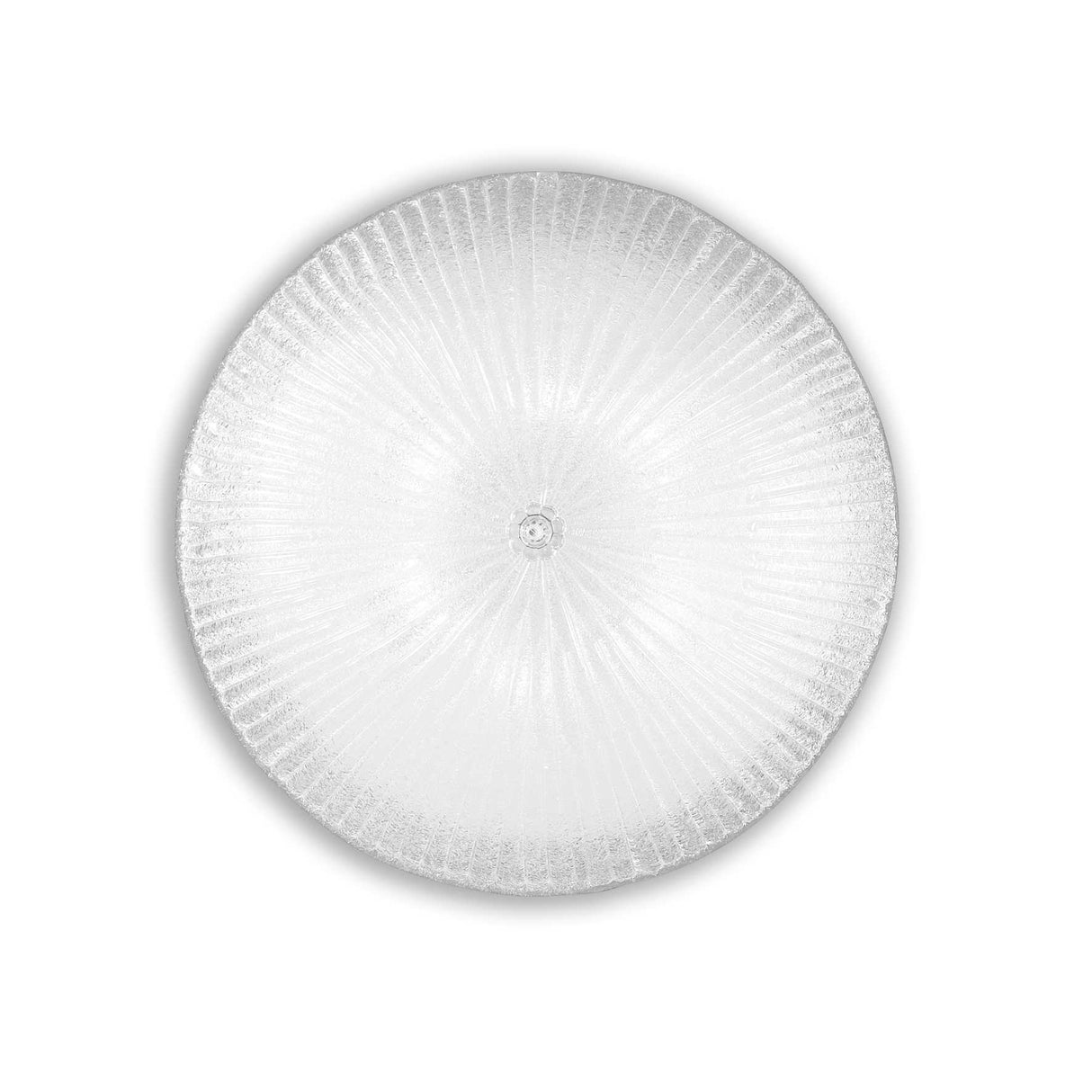 Shell 6-Light Transparent Surface Spotlight