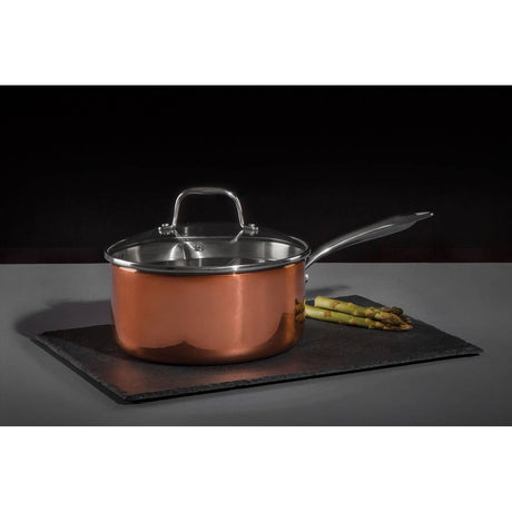 Minerva 20cm Saucepan