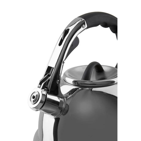 Mirrored 3200ml Whistling Kettle