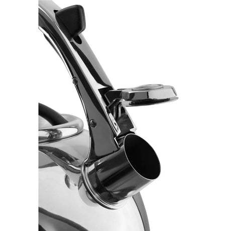 Mirrored 3200ml Whistling Kettle