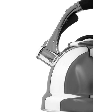 Mirrored 3200ml Whistling Kettle