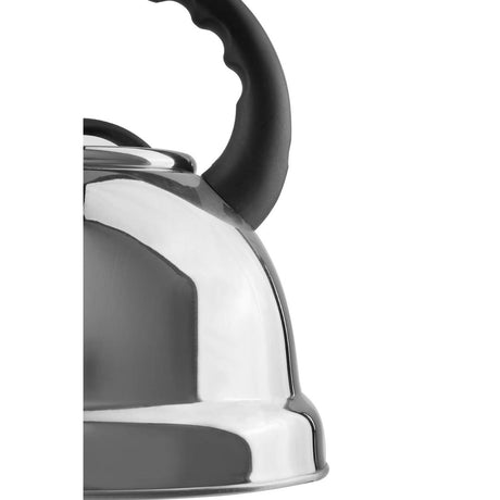 Mirrored 3200ml Whistling Kettle