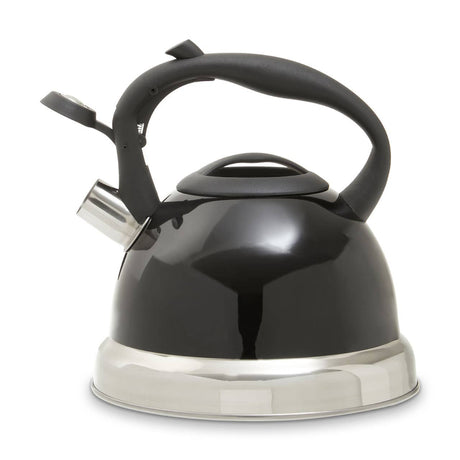 Blue 3000ml Whistling Kettle