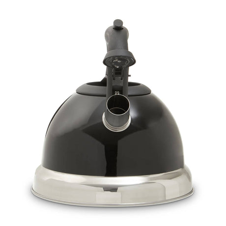 Blue 3000ml Whistling Kettle