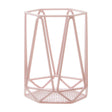 Vertex Pink Finish Utensil Holder