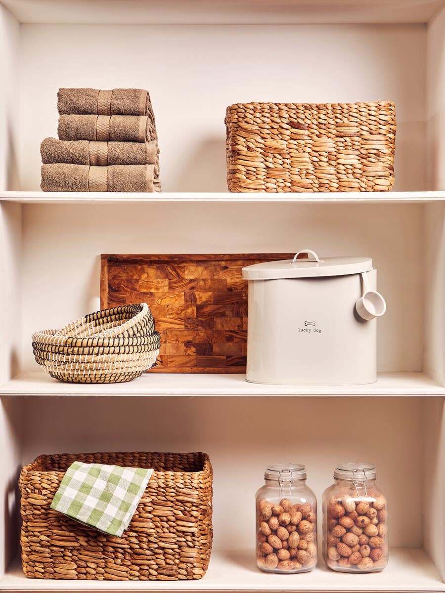 Dog Food Storage Bin With Spoon