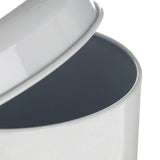 Blue Rose Biscuit Canister