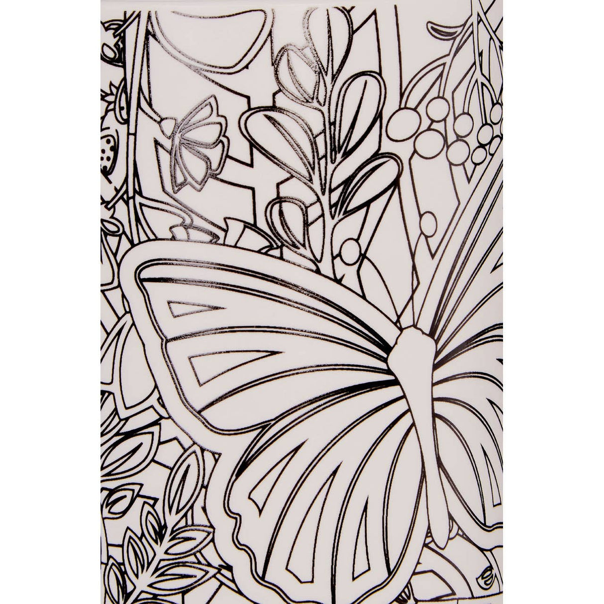 Butterflies Colour In Mug