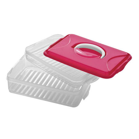 Hot Pink 2 Layer Food Container