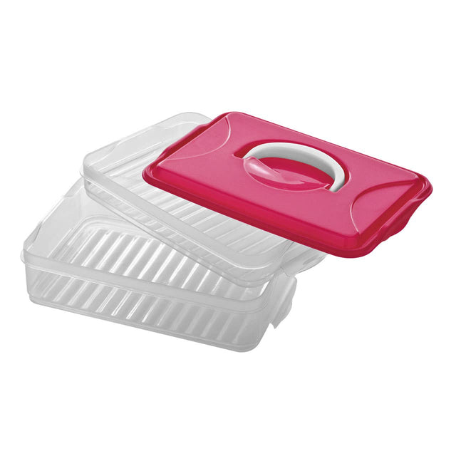 Hot Pink 2 Layer Food Container
