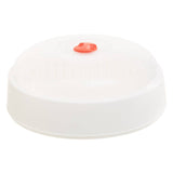 White And Clear Microwave Steamer