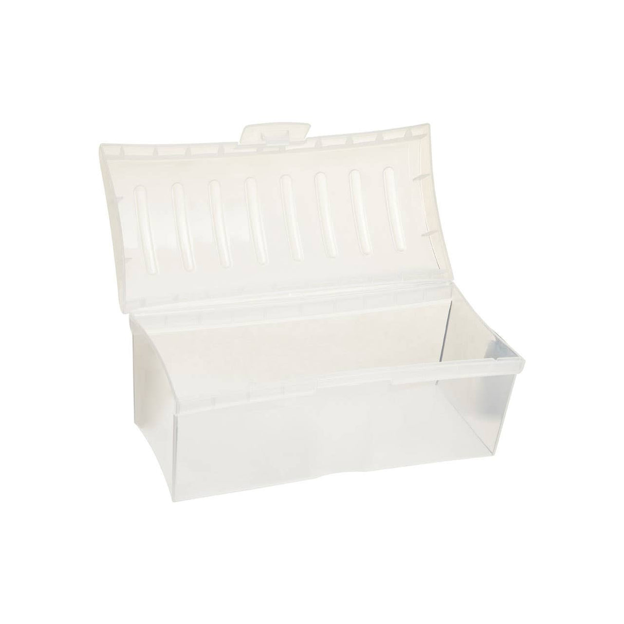 Daily Clear Bread Container And Bin