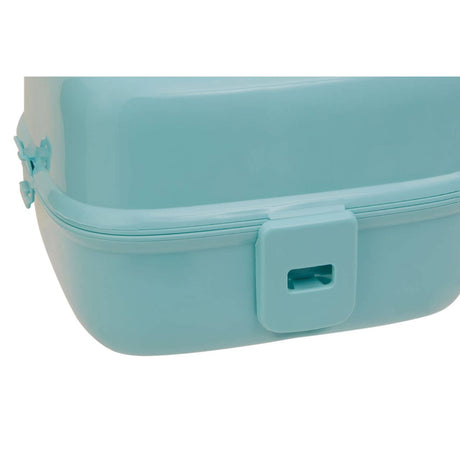 Grub Tub 4 Compartments Mint Green Lunch Box