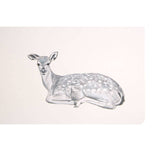 Set Of 2 Mini Forest Placemats & Coasters