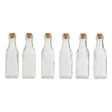 Tromso 6Pcs Small Glass Bottles