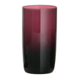 Purple Hi-Ball Glasses - Set Of 4