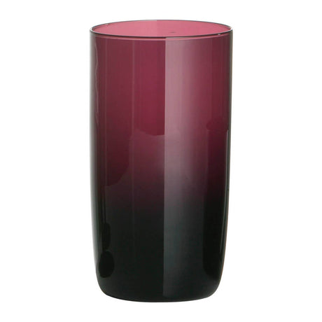 Purple Hi-Ball Glasses - Set Of 4