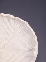 Broc White Flat Bowl