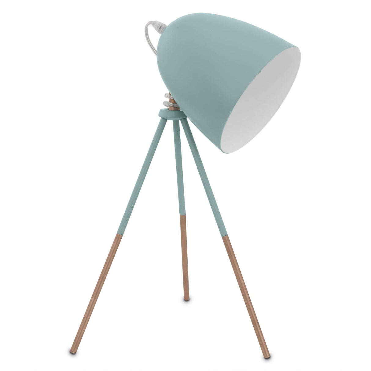 Mint Green Dundee Dome Desk Lamp