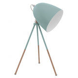 Mint Green Dundee Dome Desk Lamp