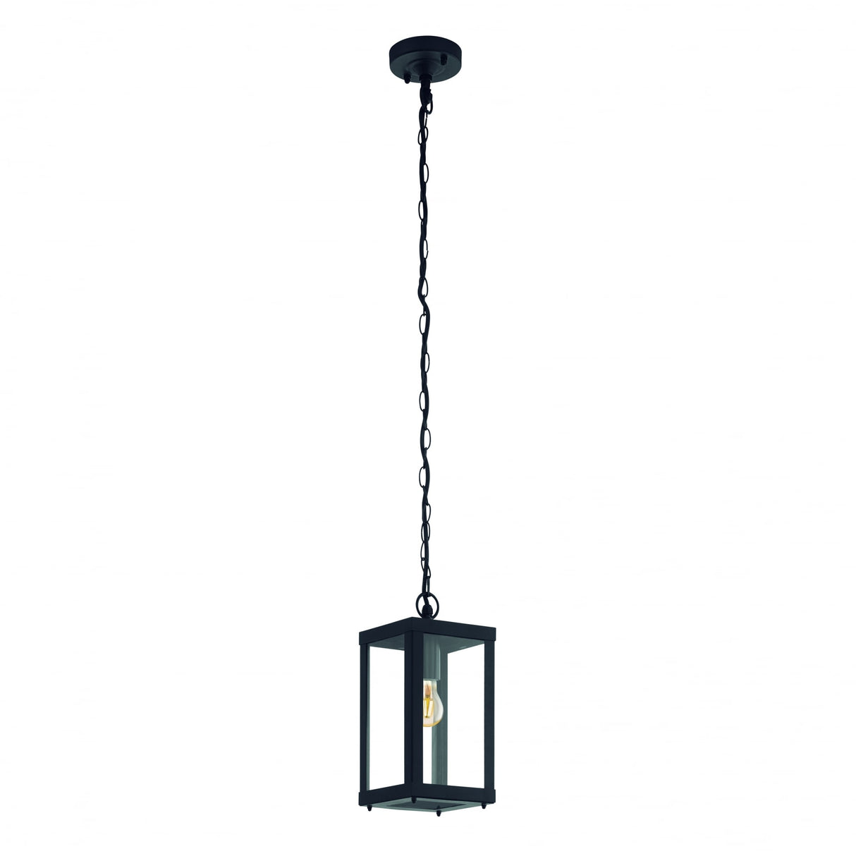 Alamonte 1 Light Black Outdoor Pendant with Clear Glass Shade