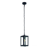 Alamonte 1 Light Black Outdoor Pendant with Clear Glass Shade