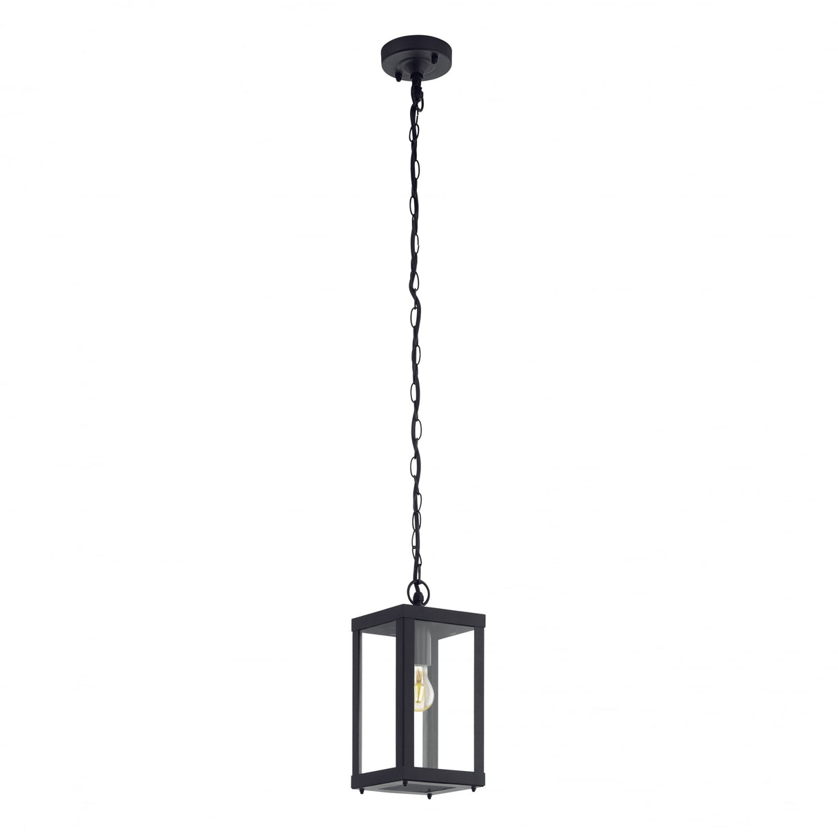 Alamonte 1 Light Black Outdoor Pendant with Clear Glass Shade