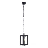 Alamonte 1 Light Black Outdoor Pendant with Clear Glass Shade