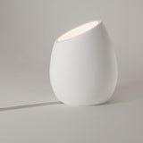 Limina Textured White Egg-Shaped Ceramic Floor Light