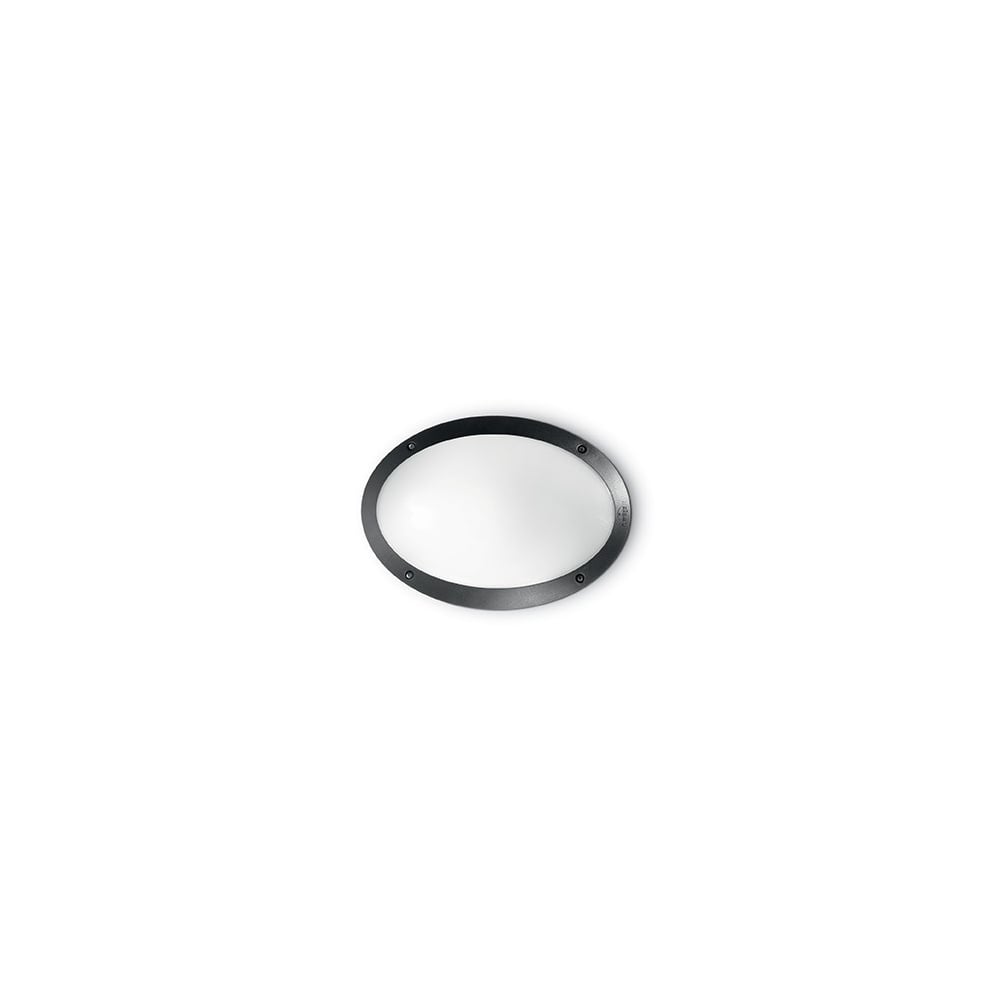 Maddi-1 Black Oval Outdoor Wall Light Fixture
