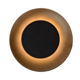 Contemporary Black Metal Round Ceiling Light Fixture