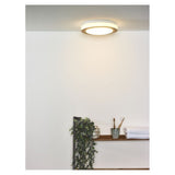 Sleek Steel and Light Wood Opal Ceiling Light Fixture