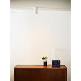 Sleek Aluminum Ceiling Spotlight in Modern White Finish