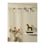 Dica LED Modern Dual-Tone Rectangular Metal Ceiling Spotlight Fixture