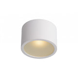 Lily Sleek White Aluminum Cylinder Ceiling Spotlight