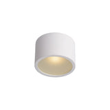 Lily Sleek White Aluminum Cylinder Ceiling Spotlight