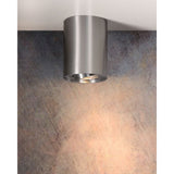 Sleek Satin Chrome Cylinder Ceiling Spotlight