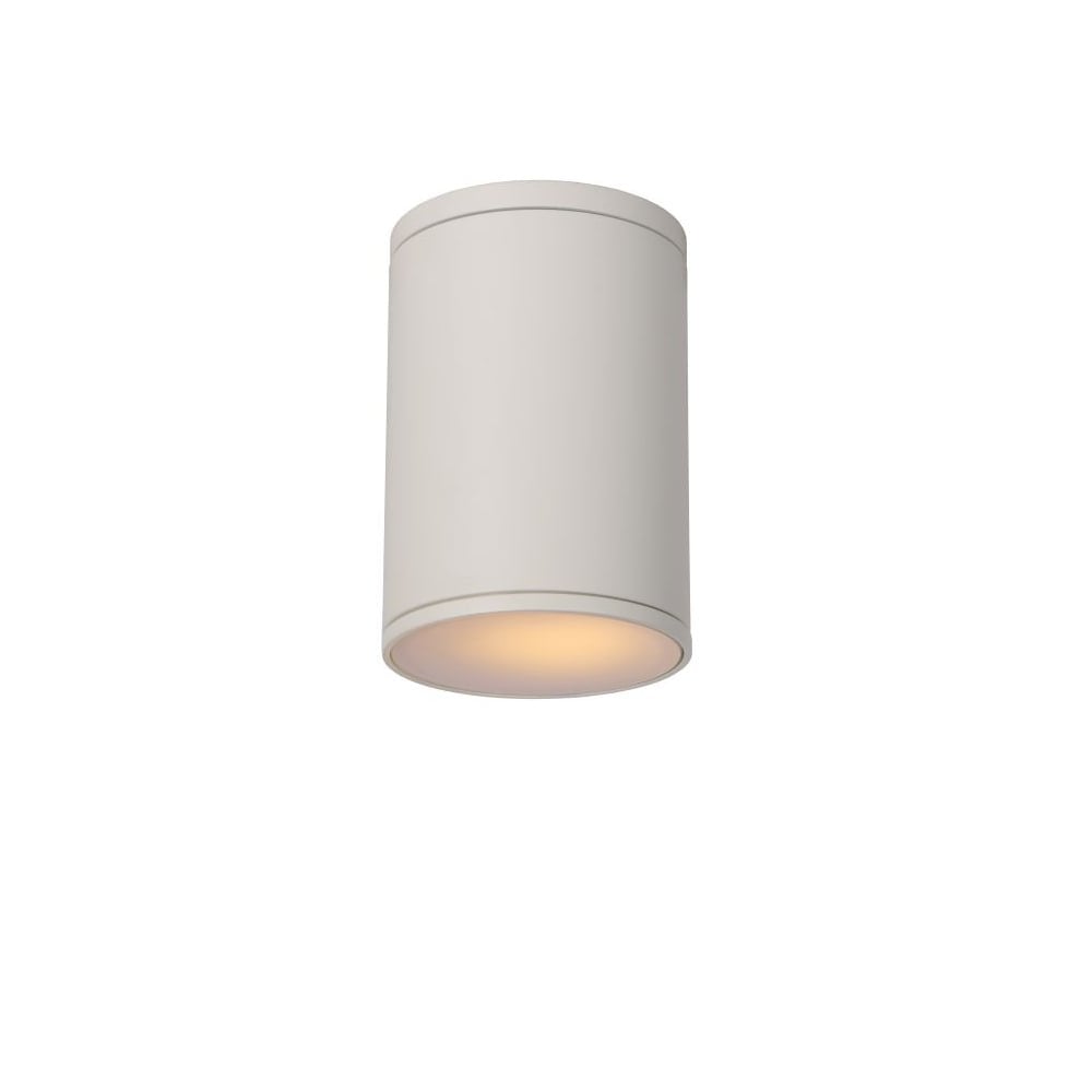 Modern White Aluminum Cylinder Ceiling Spot Light - Tubix