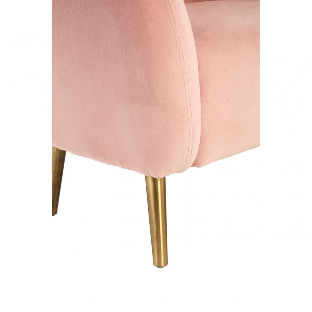 Louxor Pink Velvet Round Armchair, Cotton Velvet, Pine Wood, Pink