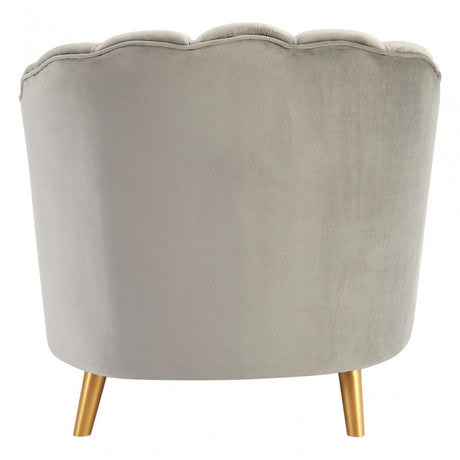 Orlina Grey Velvet Chair with Gold Wood Legs, Birchwood, Foam, Wood, Grey