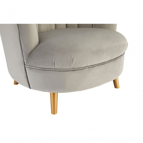Orlina Grey Velvet Chair with Gold Wood Legs, Birchwood, Foam, Wood, Grey