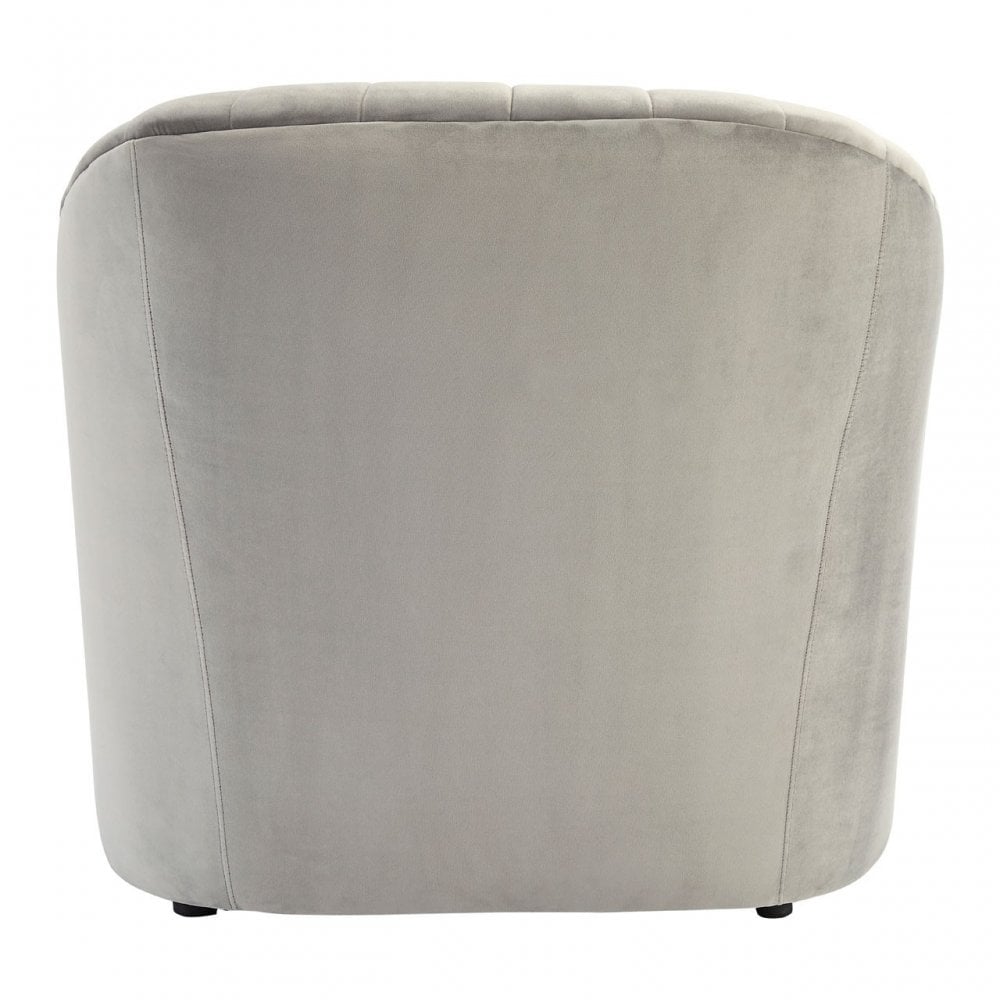 Opel Grey Velvet Armchair, Foam, Wood, Grey