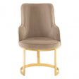 Elisa Beige Velvet Dining Chair, Foam, Stainless Steel, Beige